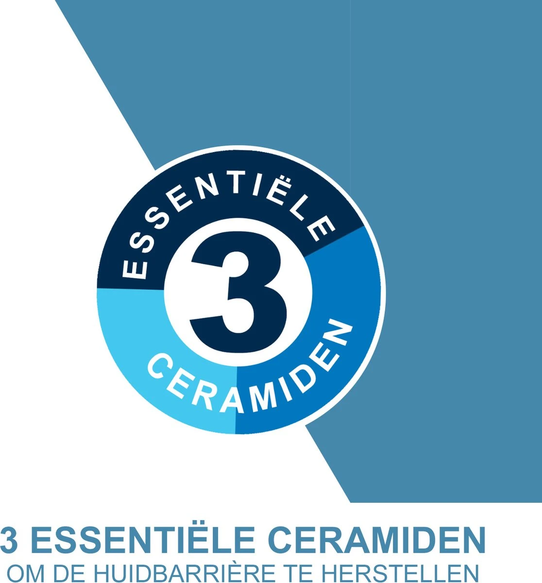 CeraVe - Reparative Handcream - Handcrème - Tegen Droge En Ruwe Handen - 50 Ml 8 CeraVe - Reparative Handcream - Handcrème - Tegen Droge En Ruwe Handen - 50 Ml - Afbeelding 6