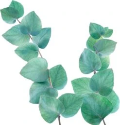 Kneipp Refreshing - Badolie -Lichaamsverzorging Winkel 1145x1200 9