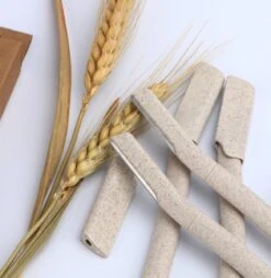 INTER-ESQUE Wenkbrauw Mesje - Eyebrow Razor - Dermaplaning - Scheermesjes Gezicht - Wenkbrauw Scheermesje Van Tarwestro - 6 Stuks 3x Groot + 3x Klein 14 INTER-ESQUE Wenkbrauw Mesje - Eyebrow Razor - Dermaplaning - Scheermesjes Gezicht - Wenkbrauw Scheermesje Van Tarwestro - 6 Stuks 3x Groot + 3x Klein -Lichaamsverzorging Winkel 1168x1200 3