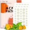 Palm Cosmetics® Pimple Patch - Acne Patch - Puisten Verwijderaar - Puisten Pleister - Acne Pleister - Acne Sticker - Puistjes Verwijderen - 108 Stuks -Lichaamsverzorging Winkel 1193x1200 8