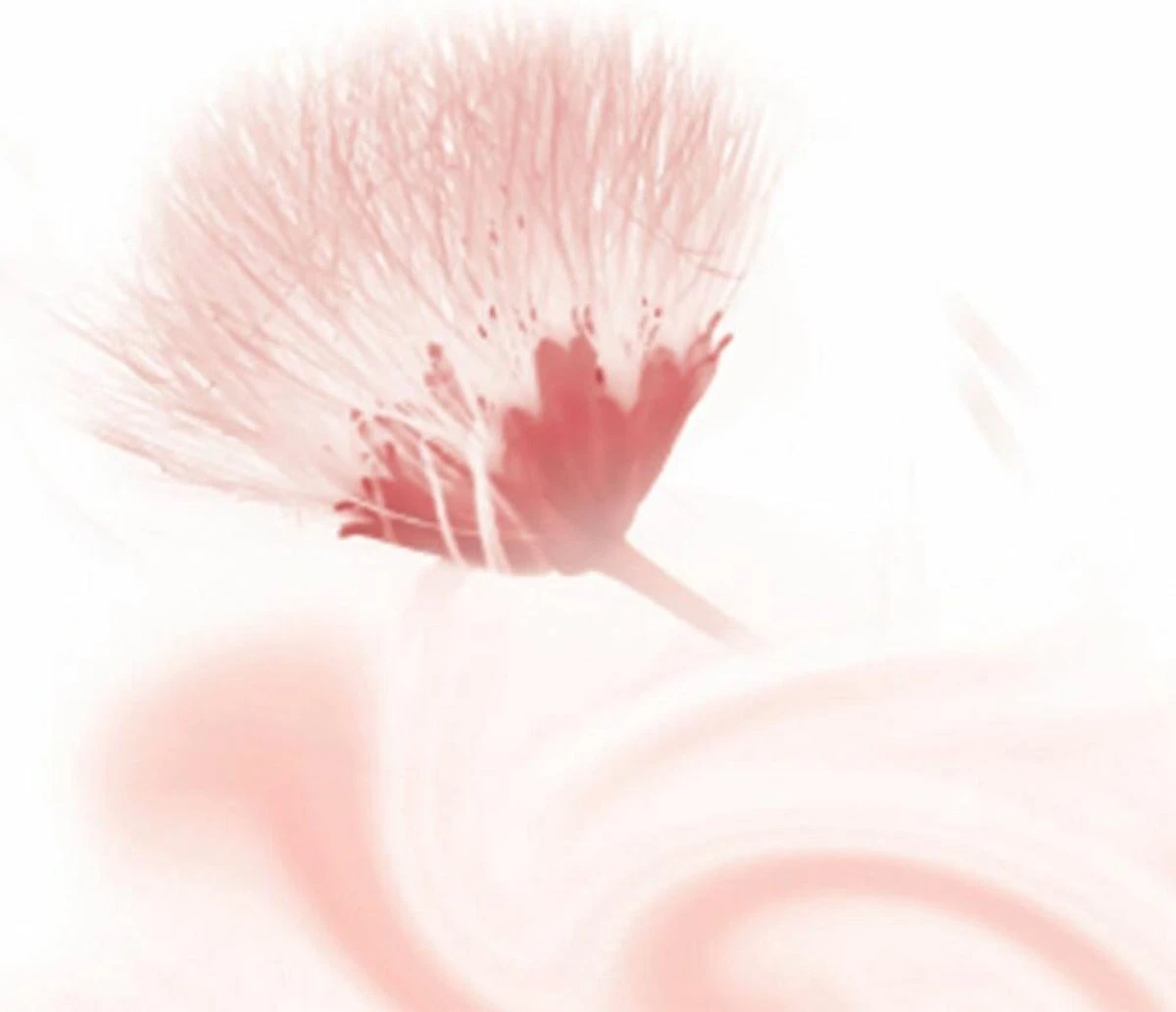 Kneipp Silky Secret - Douchegel 7 Kneipp Silky Secret - Douchegel - Afbeelding 5