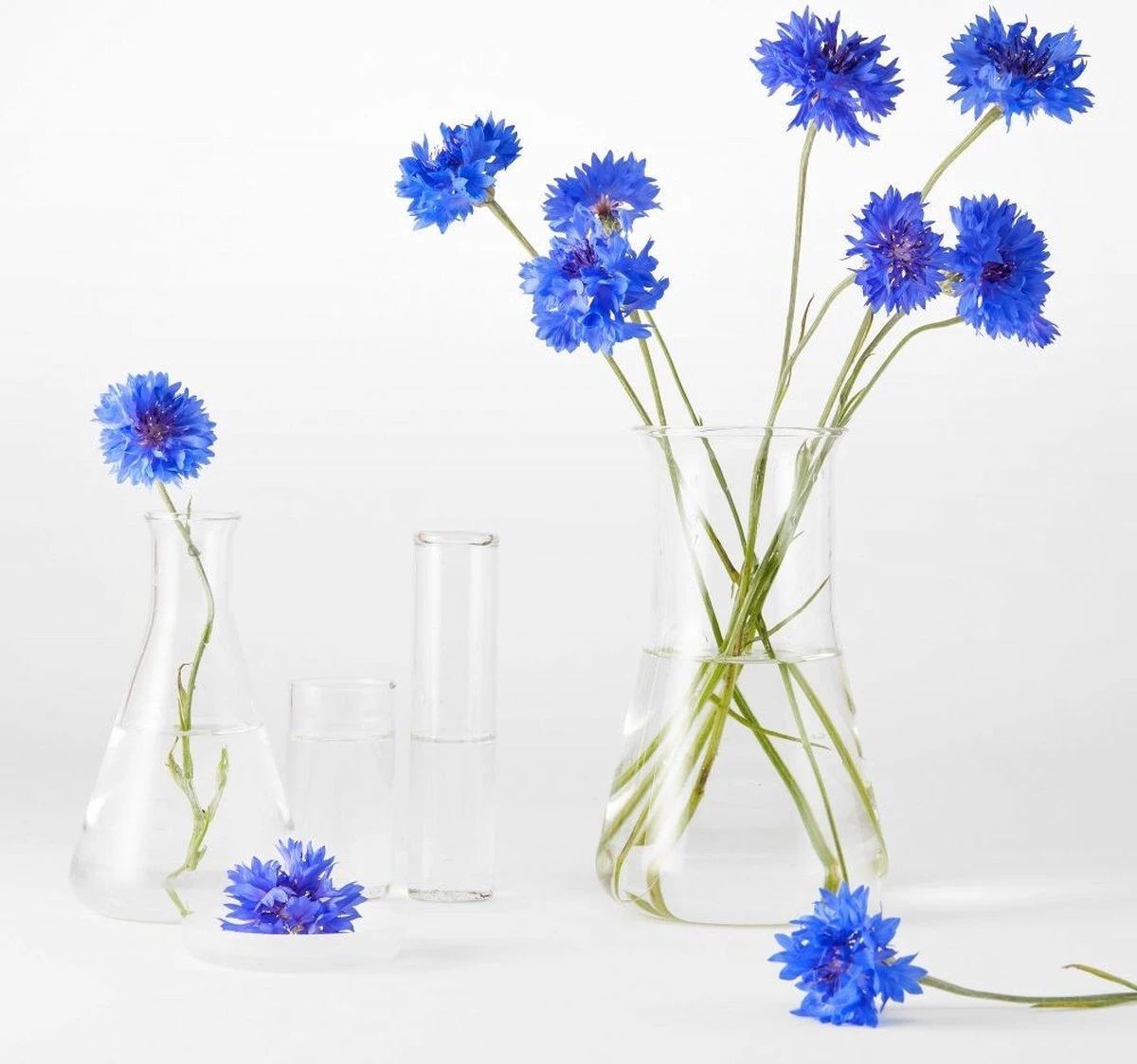 Garnier Bio Micellair Reinigingswater Met Verzachtende Korenbloem - 400 Ml 4 Garnier Bio Micellair Reinigingswater Met Verzachtende Korenbloem - 400 Ml - Afbeelding 2