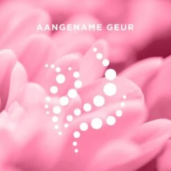 Veet Ontharingscreme - Gevoelige Huid - Minima - 200ml X2 22 Veet Ontharingscreme - Gevoelige Huid - Minima - 200ml X2 -Lichaamsverzorging Winkel 1200x1200 1762