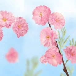 Kneipp Favourite Time - Douchegel -Lichaamsverzorging Winkel 1200x1200 1782