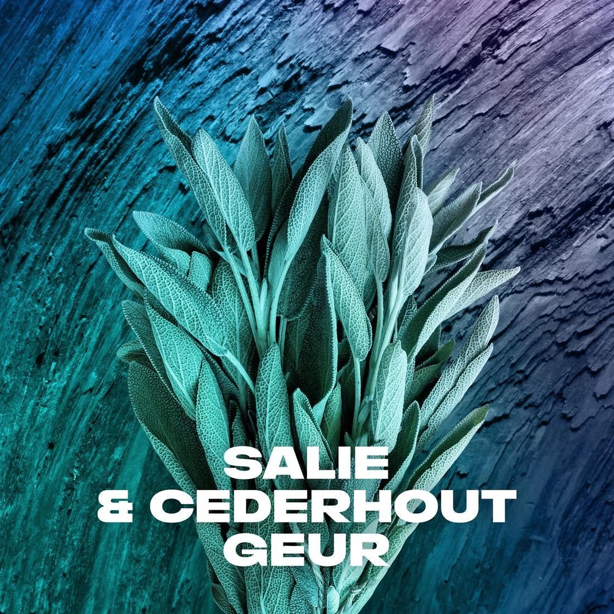 Axe Apollo Showergel - 6 X 250 Ml - Voordeelverpakking 11 Axe Apollo Showergel - 6 X 250 Ml - Voordeelverpakking - Afbeelding 9