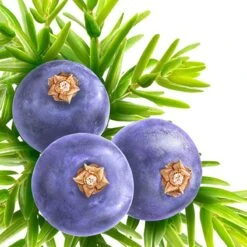 Kneipp Muscle Soothing - Douchegel -Lichaamsverzorging Winkel 1200x1200 1808