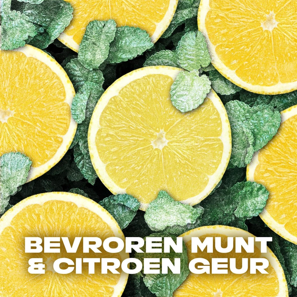 Axe Ice Chill 3-in-1 Douchegel - 6 X 250 Ml - Voordeelverpakking 8 Axe Ice Chill 3-in-1 Douchegel - 6 X 250 Ml - Voordeelverpakking - Afbeelding 6