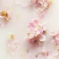 RITUALS The Ritual Of Sakura Recovery Hand Balm - 70 Ml -Lichaamsverzorging Winkel 1200x1200 203