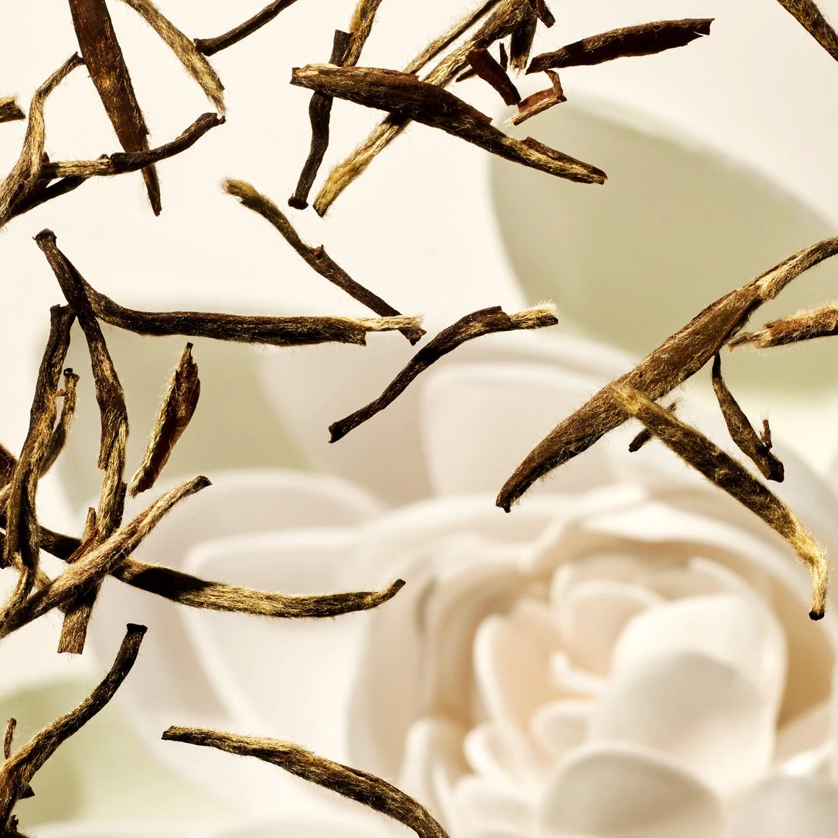 RITUALS The Ritual Of Karma Foaming Shower Gel - 200 Ml 4 RITUALS The Ritual Of Karma Foaming Shower Gel - 200 Ml - Afbeelding 2