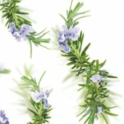 Kneipp New Energy - Douchegel -Lichaamsverzorging Winkel 1200x1200 2136