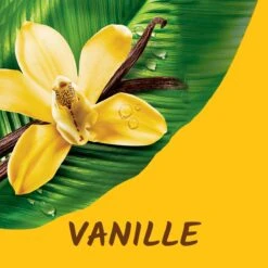 Tahiti Vanille Douchegel 4 X 300ml - Voordeelverpakking 10 Tahiti Vanille Douchegel 4 X 300ml - Voordeelverpakking -Lichaamsverzorging Winkel 1200x1200 2165