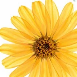 Kneipp Arnica Active - Badkristallen -Lichaamsverzorging Winkel 1200x1200 2201