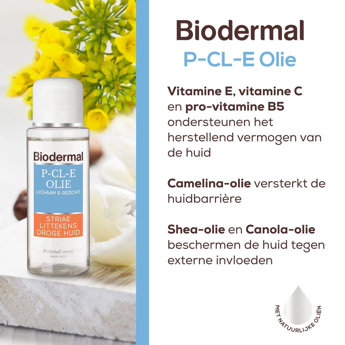 Biodermal P-CL-E Olie - Huidolie - Huidverzorging Voor Striae, Littekens En Droge Huid - Huidolie 75 Ml 12 Biodermal P-CL-E Olie - Huidolie - Huidverzorging Voor Striae, Littekens En Droge Huid - Huidolie 75 Ml - Afbeelding 10