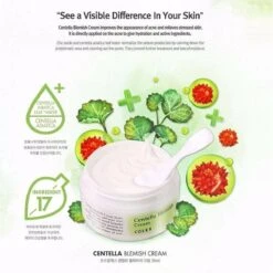 COSRX Centella Blemish Cream 30 Ml -Lichaamsverzorging Winkel 1200x1200 2286