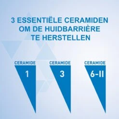 CeraVe - Moisturizing Cream - Bodycréme - Droge Tot Zeer Droge Huid - 454 G 21 CeraVe - Moisturizing Cream - Bodycréme - Droge Tot Zeer Droge Huid - 454 G -Lichaamsverzorging Winkel 1200x1200 2381