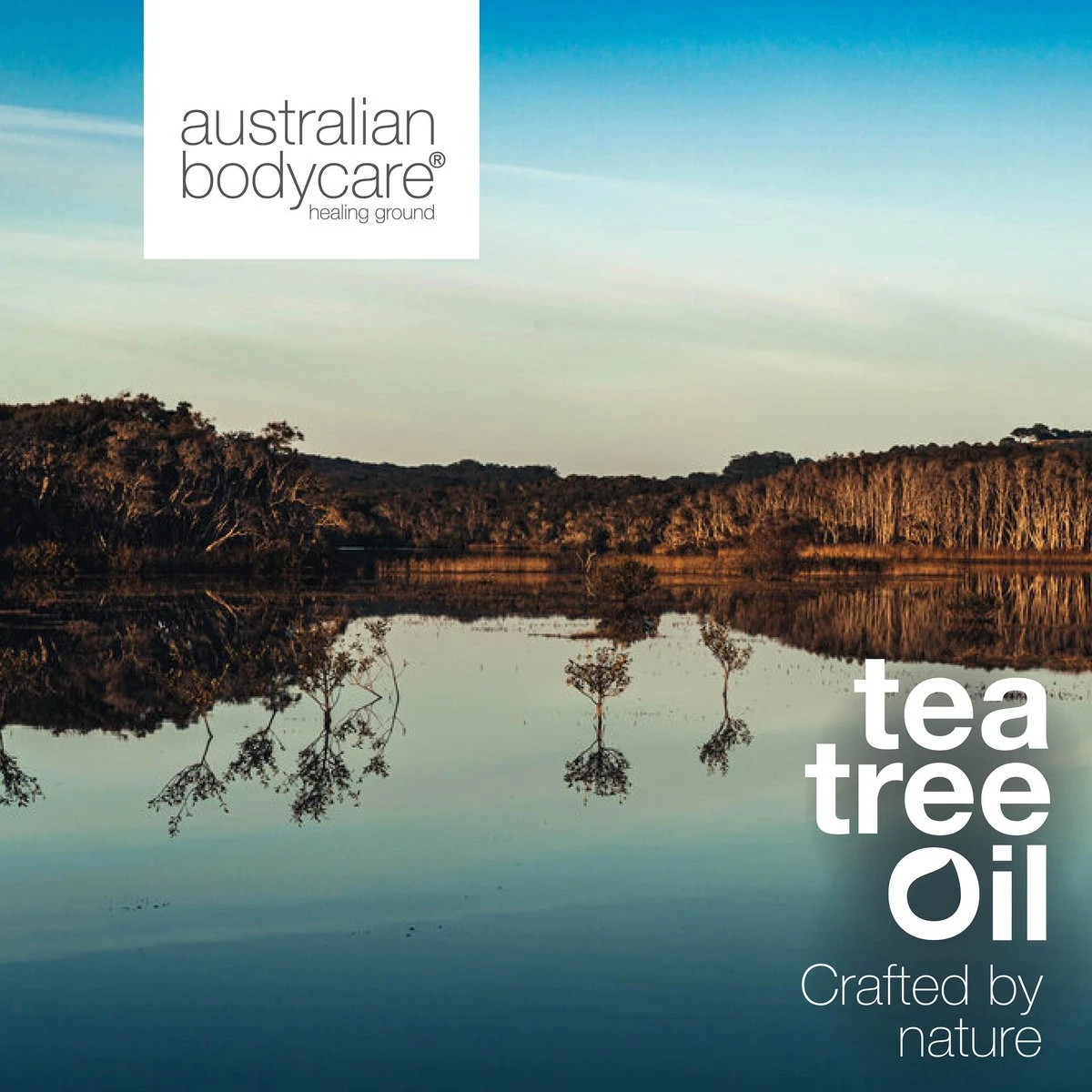 Australian Bodycare Body Cream 100 Ml - Intensieve Vochtinbrengende Crème Voor Zeer Droge & Beschadigde Huid - Met Actieve Ingrediënten Tea Tree Om De Natuurlijke Bacterieflora In Balans Te Houden En Toverhazelaar Voor Hydratatie Van De Huid 9 Australian Bodycare Body Cream 100 Ml - Intensieve Vochtinbrengende Crème Voor Zeer Droge & Beschadigde Huid - Met Actieve Ingrediënten Tea Tree Om De Natuurlijke Bacterieflora In Balans Te Houden En Toverhazelaar Voor Hydratatie Van De Huid - Afbeelding 7