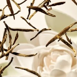 RITUALS The Ritual Of Karma Refill Body Cream - 220 Ml 15 RITUALS The Ritual Of Karma Refill Body Cream - 220 Ml -Lichaamsverzorging Winkel 1200x1200 2503