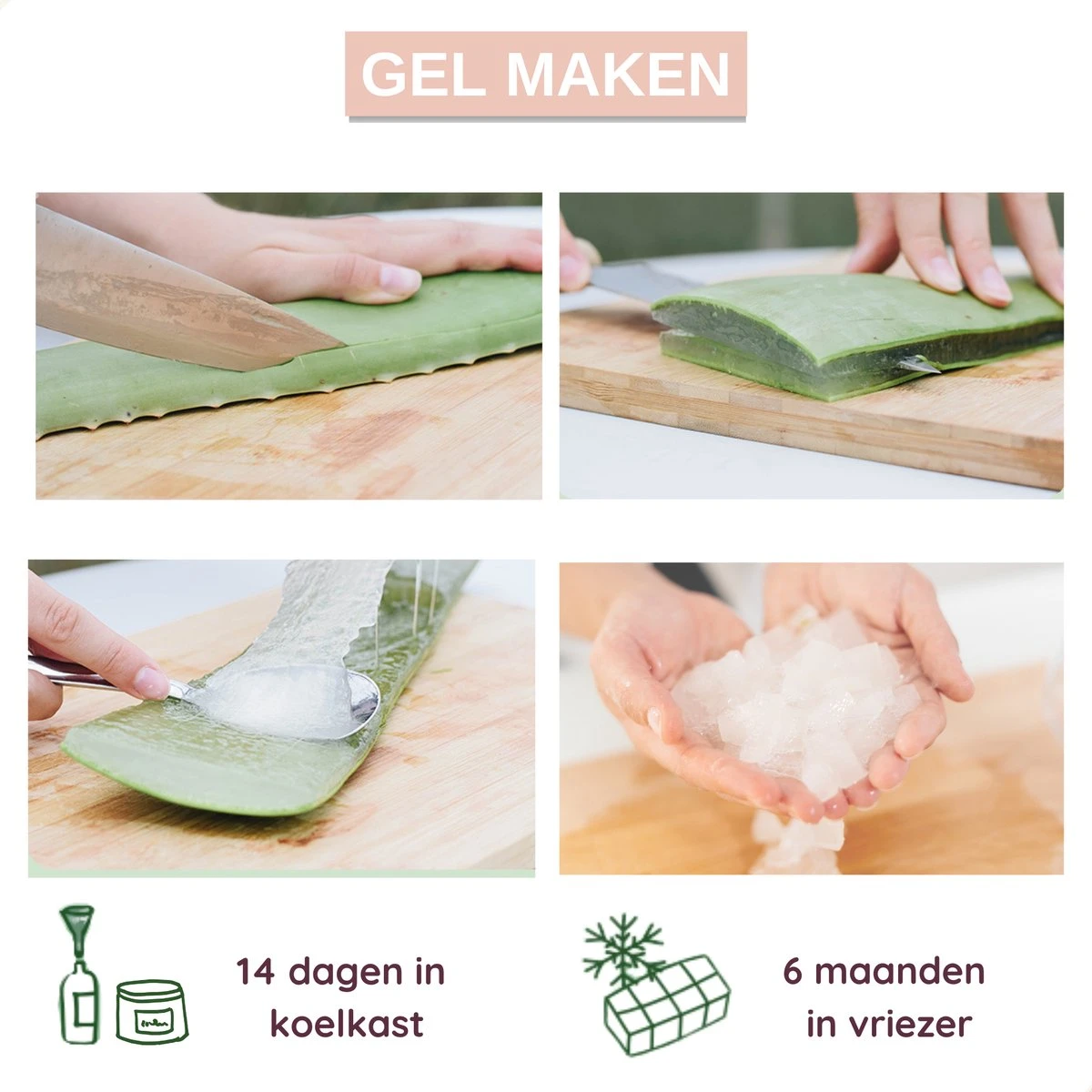 Dr. Green® 1x- Aloë Vera Blad - MAAK GEL IN 3 MINUTEN - 100% Puur - Biologisch 6 Dr. Green® 1x- Aloë Vera Blad - MAAK GEL IN 3 MINUTEN - 100% Puur - Biologisch - Afbeelding 4