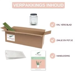 Dr. Green® 1x- Aloë Vera Blad - MAAK GEL IN 3 MINUTEN - 100% Puur - Biologisch 20 Dr. Green® 1x- Aloë Vera Blad - MAAK GEL IN 3 MINUTEN - 100% Puur - Biologisch -Lichaamsverzorging Winkel 1200x1200 2566