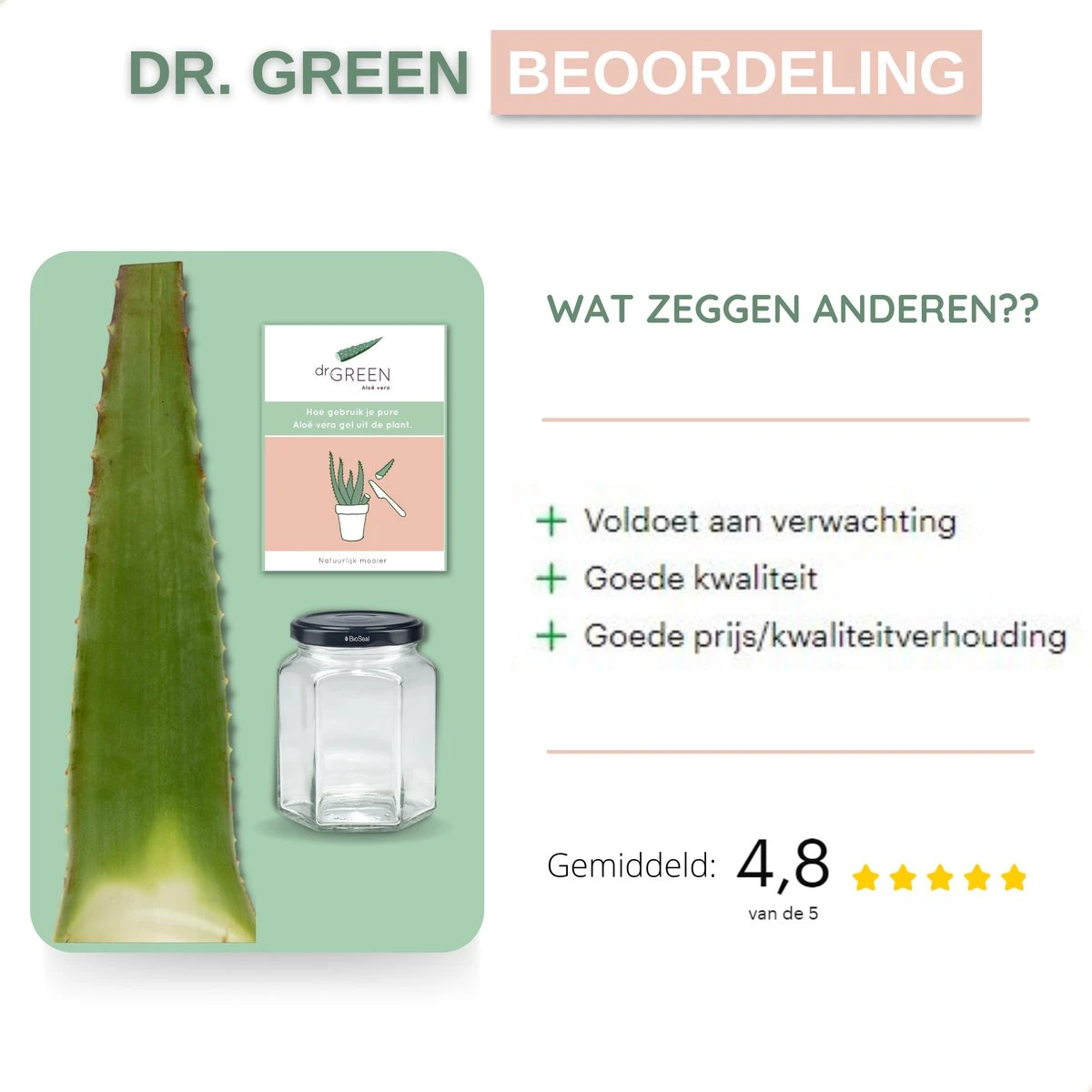 Dr. Green® 1x- Aloë Vera Blad - MAAK GEL IN 3 MINUTEN - 100% Puur - Biologisch 10 Dr. Green® 1x- Aloë Vera Blad - MAAK GEL IN 3 MINUTEN - 100% Puur - Biologisch - Afbeelding 8
