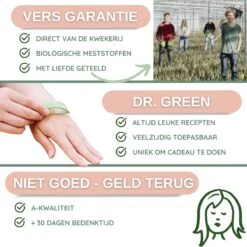 Dr. Green® 1x- Aloë Vera Blad - MAAK GEL IN 3 MINUTEN - 100% Puur - Biologisch 24 Dr. Green® 1x- Aloë Vera Blad - MAAK GEL IN 3 MINUTEN - 100% Puur - Biologisch -Lichaamsverzorging Winkel 1200x1200 2570