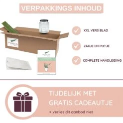 Dr. Green® 1x- Aloë Vera Blad - MAAK GEL IN 3 MINUTEN - 100% Puur - Biologisch 25 Dr. Green® 1x- Aloë Vera Blad - MAAK GEL IN 3 MINUTEN - 100% Puur - Biologisch -Lichaamsverzorging Winkel 1200x1200 2571