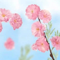 Kneipp Favourite Time - Handcrème 13 Kneipp Favourite Time - Handcrème -Lichaamsverzorging Winkel 1200x1200 319