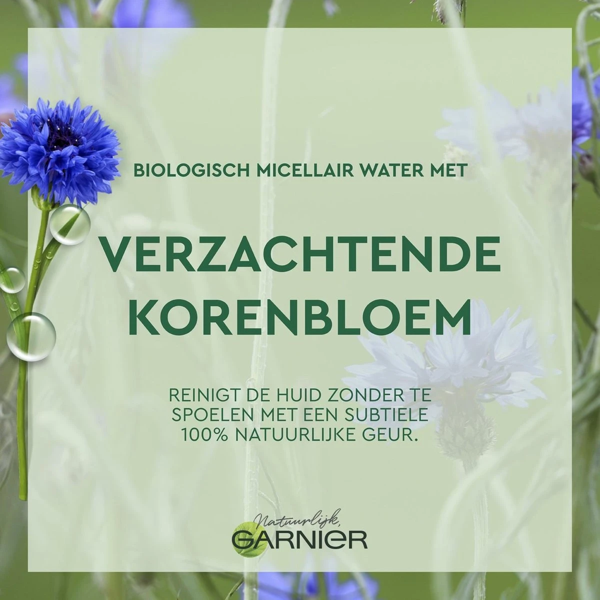 Garnier Bio Micellair Reinigingswater Met Verzachtende Korenbloem - 400 Ml 11 Garnier Bio Micellair Reinigingswater Met Verzachtende Korenbloem - 400 Ml - Afbeelding 9