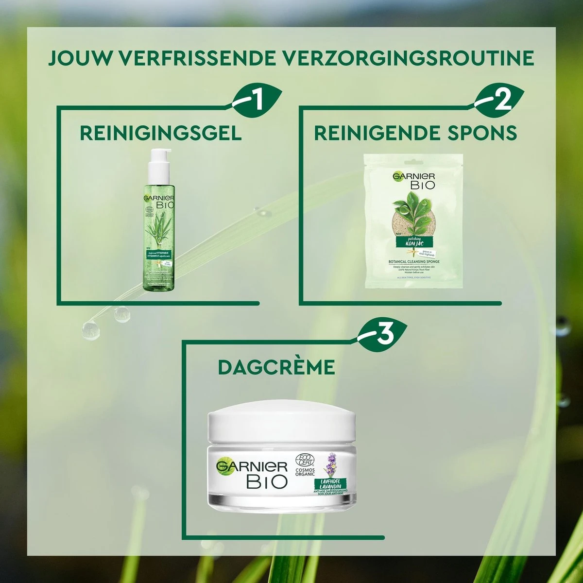 Garnier Bio Detox Reinigingsgel - Normale Tot Gemengde Huid - 150 Ml 13 Garnier Bio Detox Reinigingsgel - Normale Tot Gemengde Huid - 150 Ml - Afbeelding 11