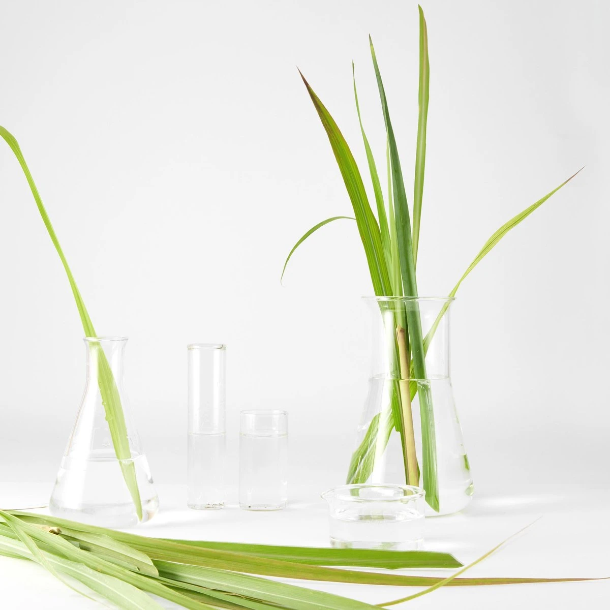 Garnier Bio Detox Reinigingsgel Verfrissende Citroengras - 3 X 150 Ml 7 Garnier Bio Detox Reinigingsgel Verfrissende Citroengras - 3 X 150 Ml - Afbeelding 5