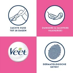 Veet - Warme Wax - Orientaalse Ontharings Wax - Minima - Arganolie - 250 Ml 9 Veet - Warme Wax - Orientaalse Ontharings Wax - Minima - Arganolie - 250 Ml -Lichaamsverzorging Winkel 1200x1200 882