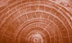 Kneipp Men - Warm Woods - Douche 2-in-1 -Lichaamsverzorging Winkel 1200x720 2