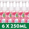Dettol - Handzeep - Zachte Mousse - Antibacterieel - Roos & Kersenbloesem - 6 X 250 Ml 1 Dettol - Handzeep - Zachte Mousse - Antibacterieel - Roos & Kersenbloesem - 6 X 250 Ml -Lichaamsverzorging Winkel 1200x752
