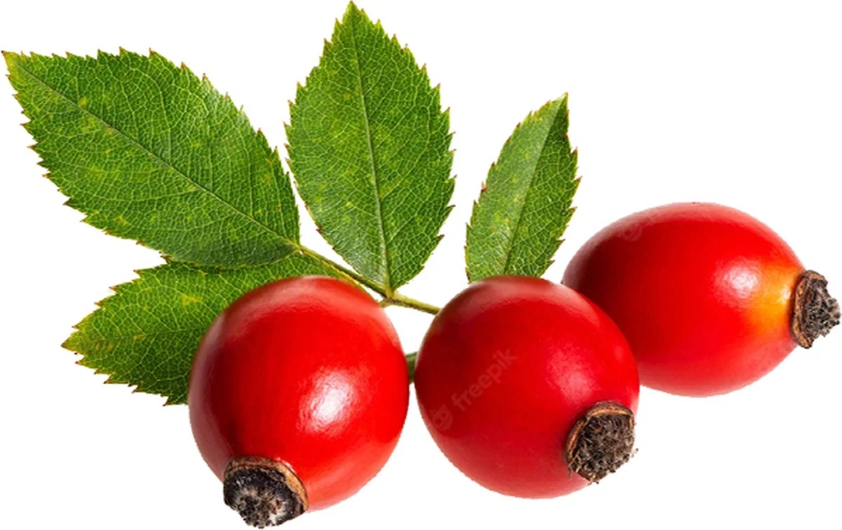 Rozenbottelolie 50ml| 100% Puur & Onbewerkt | Rosehip Oil Voor Huid, Haar En Lichaam 4 Rozenbottelolie 50ml| 100% Puur & Onbewerkt | Rosehip Oil Voor Huid, Haar En Lichaam - Afbeelding 2