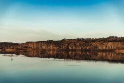 Australian Bodycare Body Treatment - 3 Producten Tegen Puistjes, Een Onzuivere Huid En Mee–eters Op De Rug En Billen Gebaseerd Op Tea Tree Olie - Bevat Douchegel En Peeling Om Je Huid Te Reinigen En Bodylotion Om Je Huid Te Hydrateren En Verzorgen 9 Australian Bodycare Body Treatment - 3 Producten Tegen Puistjes, Een Onzuivere Huid En Mee–eters Op De Rug En Billen Gebaseerd Op Tea Tree Olie - Bevat Douchegel En Peeling Om Je Huid Te Reinigen En Bodylotion Om Je Huid Te Hydrateren En Verzorgen -Lichaamsverzorging Winkel 1200x800 87