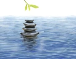 Kneipp Me-Time - Douche Foam -Lichaamsverzorging Winkel 1200x921 1